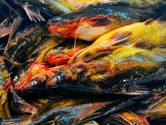 -江湖水乡铁锅炖魚(周庄嘉园店)