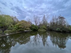-上海滨江森林公园
