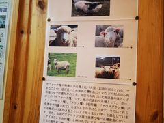 -成吉思汗 しろくま(札幌本店)