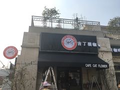 门面-吉丁鸟咖·异宠·寄养