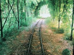 -合肥滨湖国家森林公园