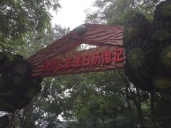 南戴河国际娱乐中心-南戴河国际娱乐中心