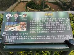 -深圳野生动物园