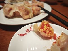 -鸿毛饺子(紫竹桥店)