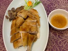 -欢乐海岸美食联盟