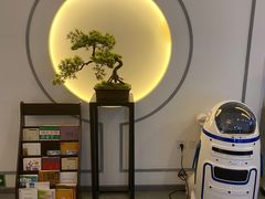 -席仁堂推拿按摩脊柱调理(世纪科贸大厦店)