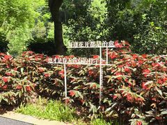 -云溪植物园
