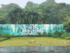 -深圳野生动物园