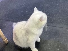 -M.S拳击泰拳馆(大学路店)