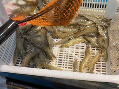 -岳各庄批发市场(西四环中路店)