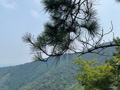 -美味之家·湖景农家乐(太湖东山店)