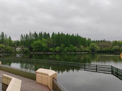 -东平国家森林公园