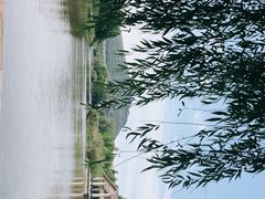 -长广溪湿地公园
