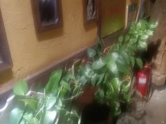 -霄汉羊排(万松园一店)
