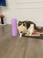 -闺蜜瑜伽·普拉提女性塑形馆