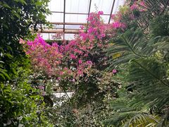 -呀路古热带植物园
