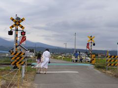 -富田农场
