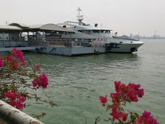 -厦门邮轮中心厦鼓码头(轮渡站)