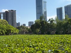 -西南交通大学(九里校区)
