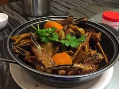 -美极鲜食坊(宝安南路店)