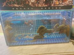 -川骄海鲜自助(河东店)