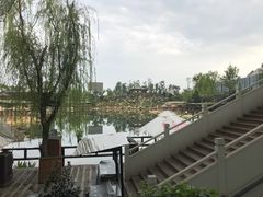 -天府芙蓉园
