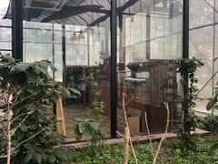 -MUSEO COFFEE咖啡博物馆