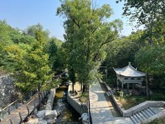 -白水寺森林公园