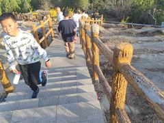 -白水寺森林公园