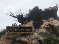 -大槐树寻根祭祖园