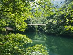 -宁海森林温泉
