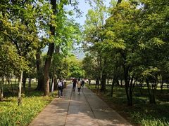 -灵谷景区