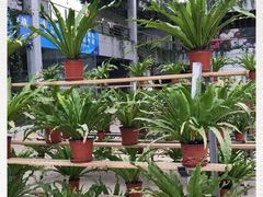 -三圣花乡旅游区