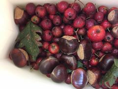 -北京宽沟会议中心