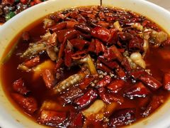 -胡桃里乐队酒馆(长春总店)