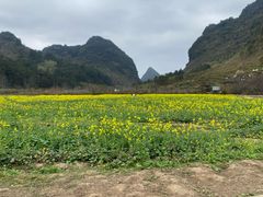 -靖西鹅泉风景区