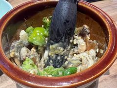 -高嗲嗲·现炒下饭菜(石鼓路店)