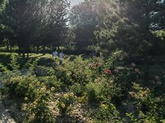 -坝河休闲公园