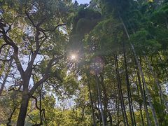-杭州黄龙洞