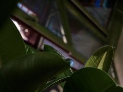 -Catch Bagel(芳草地店)