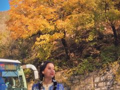 -乌龙峡谷景区
