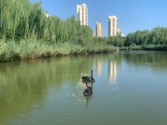 -南翠屏公园