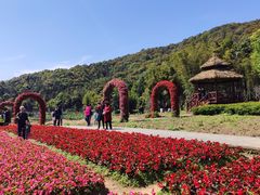 -广州市石门国家森林公园