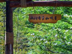 -宁波五龙潭景区