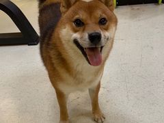 -博纳私人订制健身(中集美兰湖店)