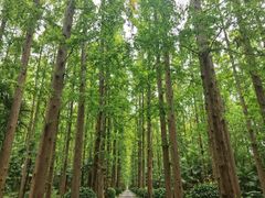 -上海怡沁园度假酒店
