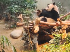 -香港海洋公园