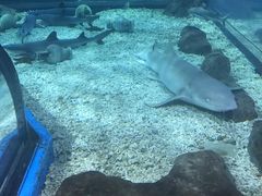 -福州罗源湾海洋世界旅游区