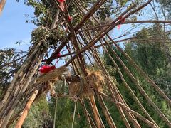 -高黎贡山自然公园