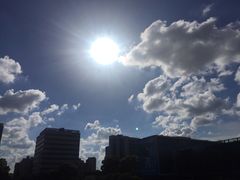 -江湾体育中心游泳馆